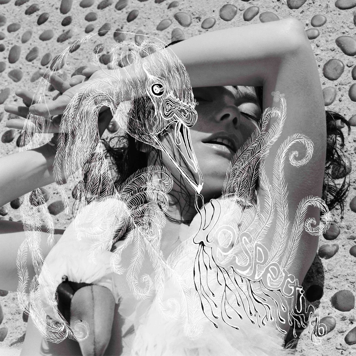 sonemic's tweet image. On this date in 2001, @bjork - 'Vespertine' was released.

📈 #1 for 2001, #20 overall

rateyourmusic.com/release/album/…