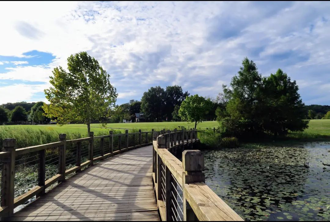 Embrace the charm of Liberty Park: Peaceful, Picturesque, Perfect

📍: Liberty Park Trail
📷: @trailhenny

#visitclarksvilletn #nature #trails #outdoors #tennesseetravel #vacation #peaceful #getoutside #stayandwander #adventure