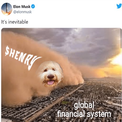 HenryToken's tweet photo. Gm 

$Henry is inevitable https://t.co/6B6mYQOALR
