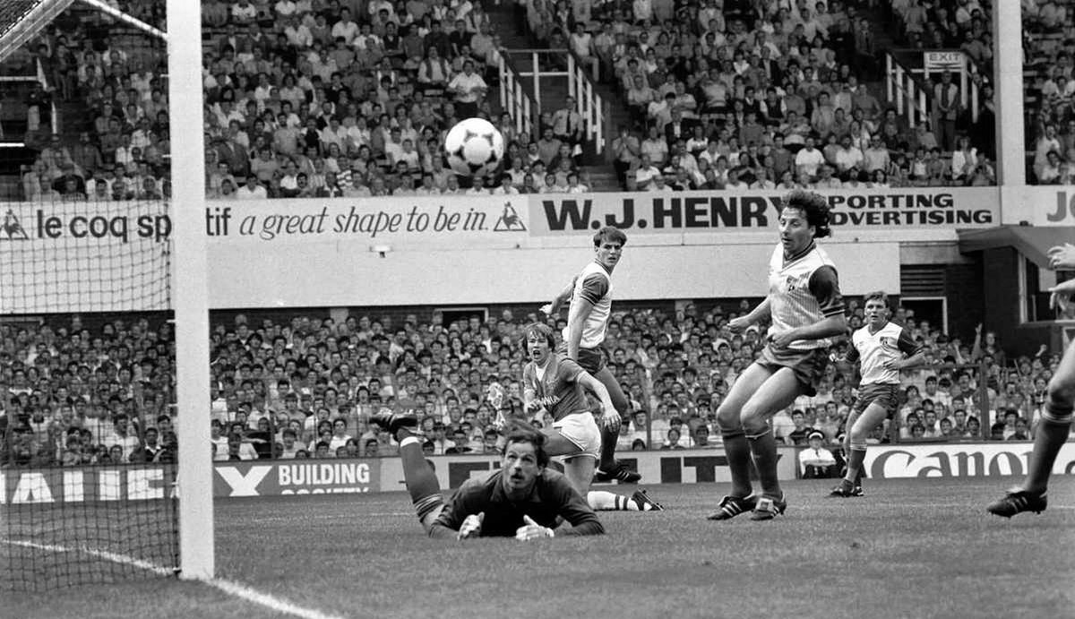 Diana The Red tweet media