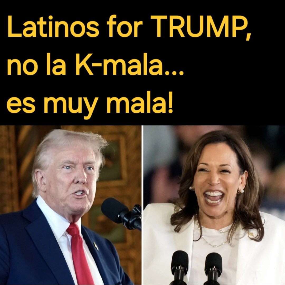 MegaManNFT's tweet photo. @realDonaldTrump https://t.co/X64bzHXErO