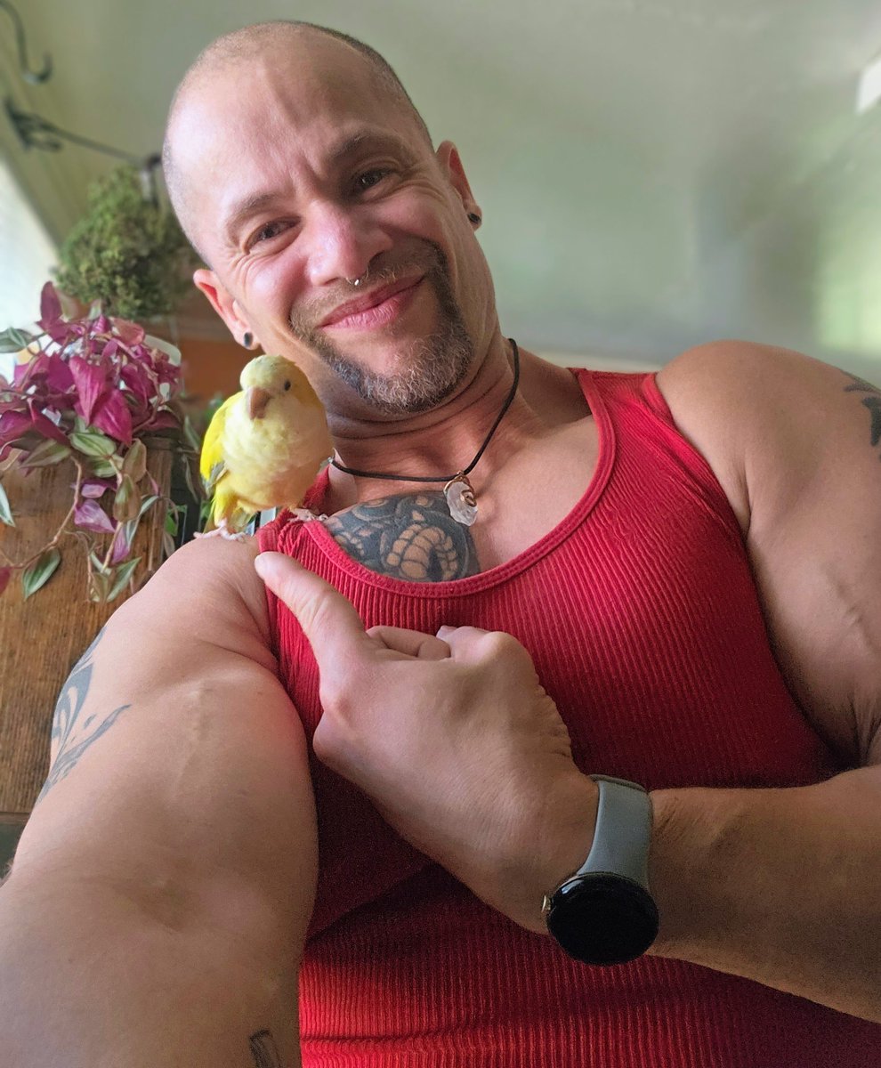 Greg Grove tweet media