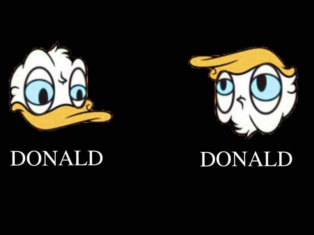 Donald 💀
