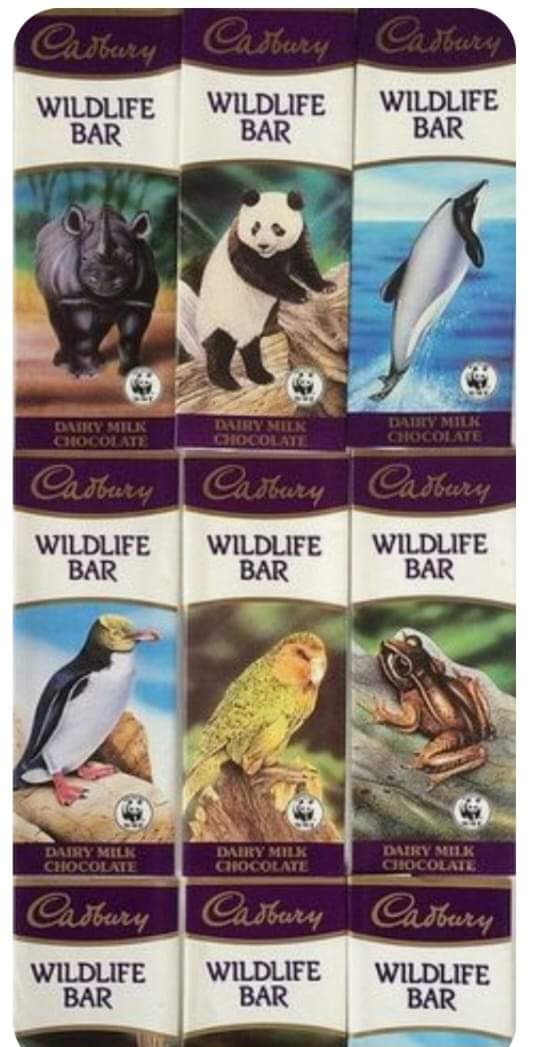 80s Kidz tweet media