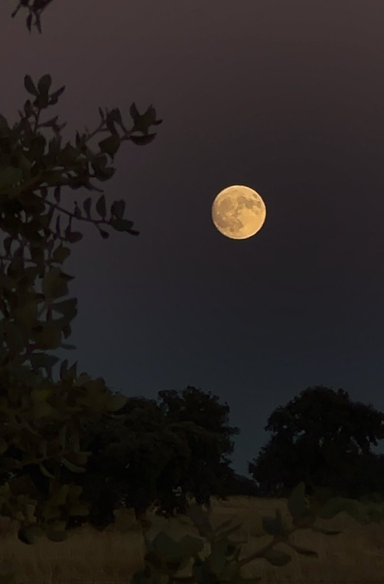 Manuel Díaz tweet media