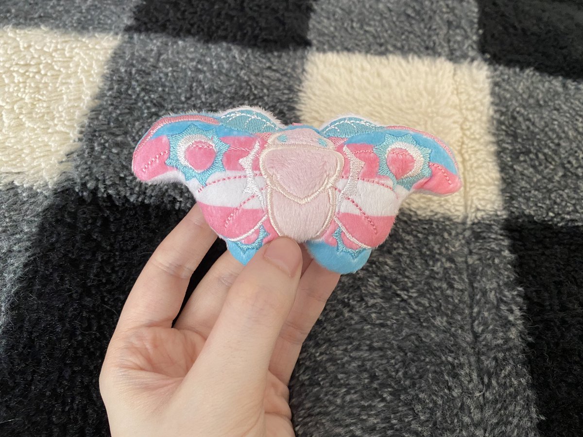 RobinSashiko's tweet photo. I got a cute trans moth in the mail as a bday gift from a friend. 

Look how cute they are! Just like me fr🏳️‍⚧️ https://t.co/F0w9NHWdUk
