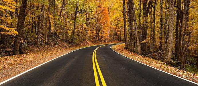 AboveProperty's tweet photo. https://t.co/F385y8U3fU #Travel #hospitality https://t.co/RWKLM34Lmv