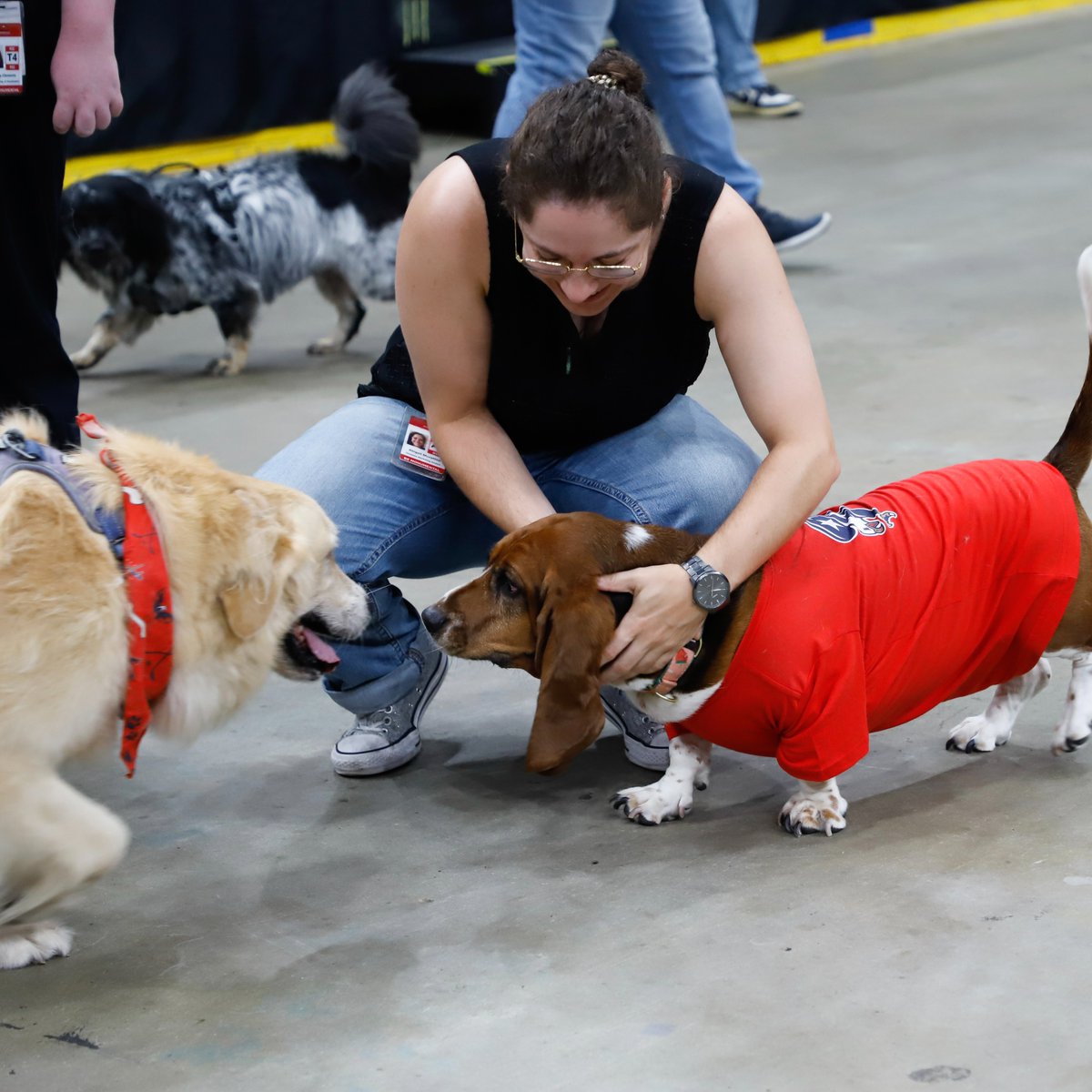 Started the week off right with our furry friends at the office! 🐶🐾

#BringYourDogToWorkDay