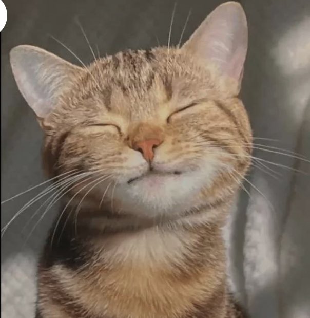 Ashley ❤️🔥 tweet media