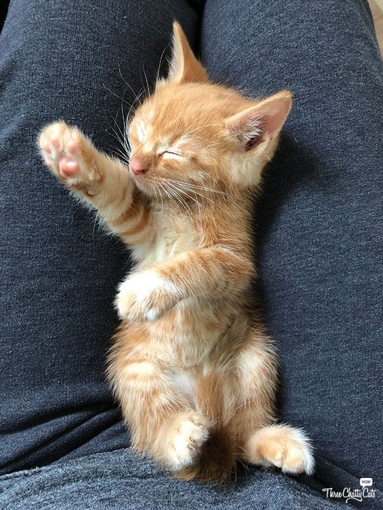 this MIGHT be jack manifold and eleanor neale