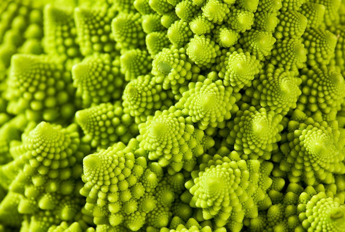 TrulyTalen's tweet photo. @_____elise_ A pretty good design in nature is Romanesco broccoli, it forms in a natural fractal pattern which is a perfect visualization of a mathematical equation. It's also pretty tasty / nutritious. https://t.co/gyYXZTLPcW