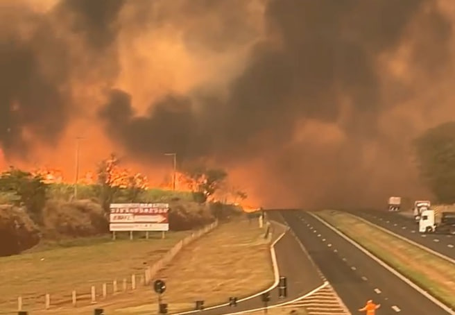 camarotedacpi's tweet photo. 🔥 PCC POR TRÁS DOS INCÊNDIOS?

O governo de São Paulo acredita que a facção criminosa PCC pode estar por trás dos incêndios em plantações de cana-de-açúcar. Os incêndios começaram na semana passada e se alastraram rapidamente, destruindo milhares de hectares e causando prejuízos milionários.