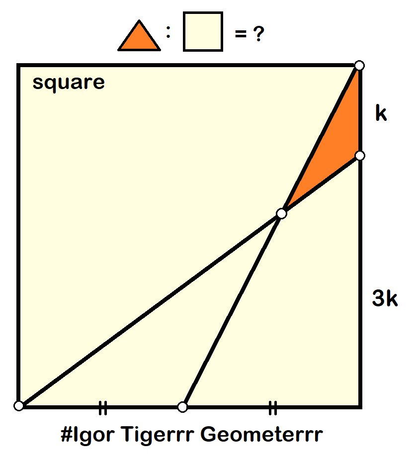 Igor Tigerrr Geometerrr tweet media