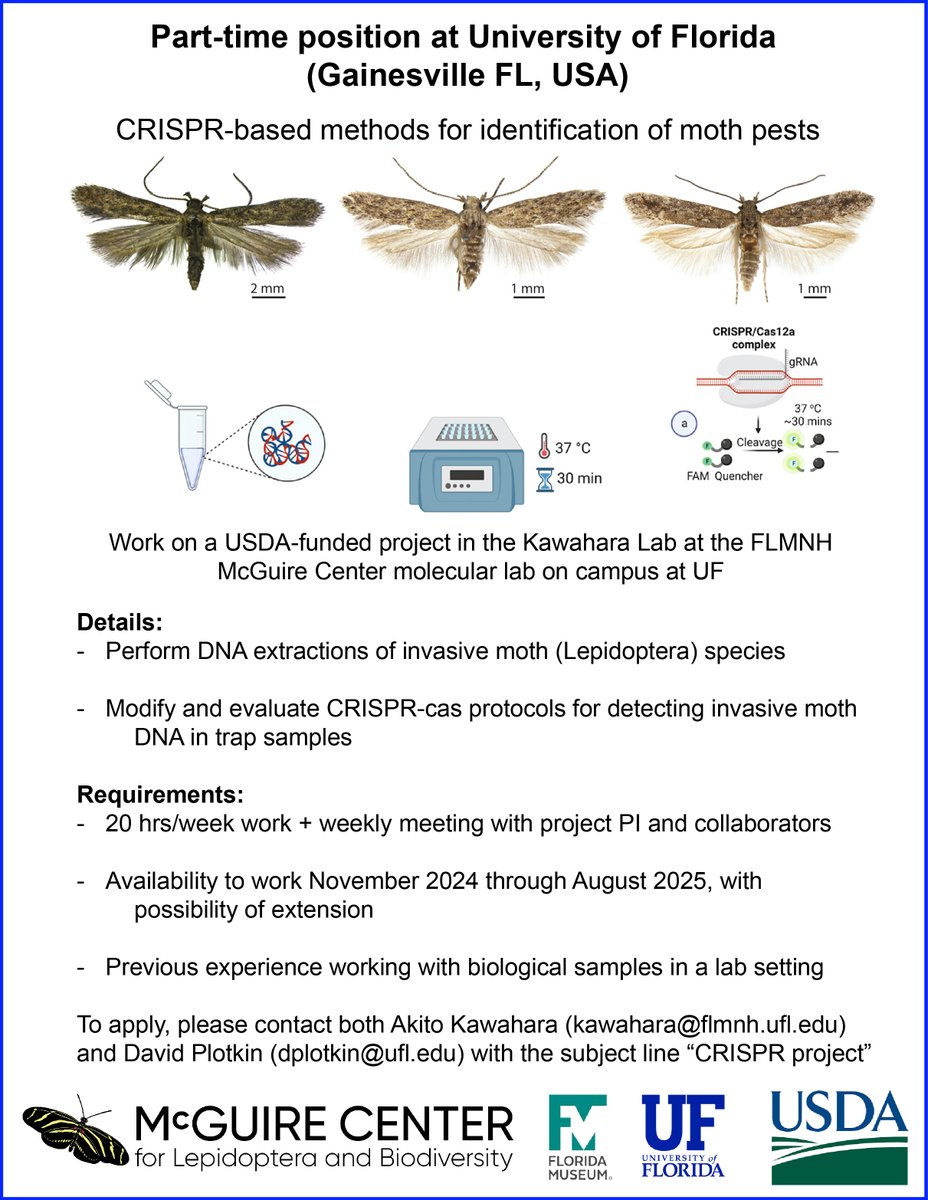 Dr. Akito Kawahara (@dr_akito) on Twitter photo For those at #ICE2024 - there wasn't a place to post job openings at the venue, so posting here! We're hiring a researcher to conduct DNA extractions and expand our lab's CRISPR Cas protocol for a USDA funded project on moth pest identification. Please share! <a href="/FloridaMuseum/">Florida Museum</a> For those at #ICE2024 - there wasn't a place to post job openings at the venue, so posting here! We're hiring a researcher to conduct DNA extractions and expand our lab's CRISPR Cas protocol for a USDA funded project on moth pest identification. Please share! <a href="/FloridaMuseum/">Florida Museum</a>