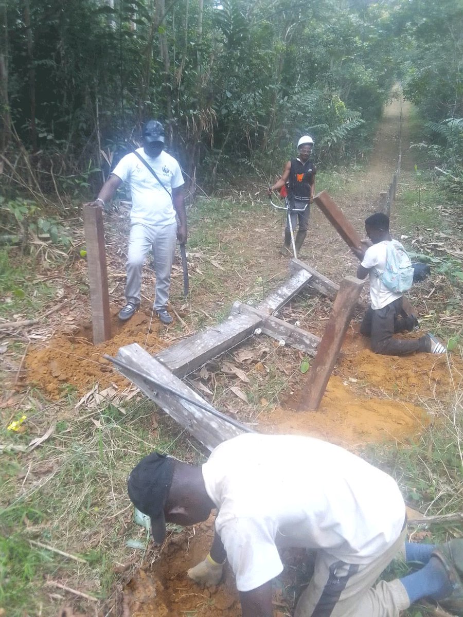 WWFGabon's tweet photo. C'est une priorité cruciale pour la sécurité alimentaire, le développement durable et la coexistence pacifique entre les l’Homme et la Faune sauvage.
#CIBEL https://t.co/09TEs4gRgF
