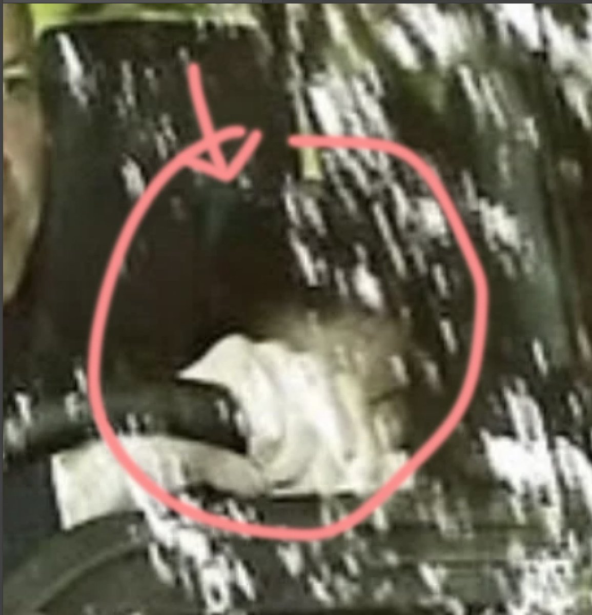 George, Louis and Charlotte were in the back of the car too in various images but they were also not seen in others of what is supposed to be the same scene!