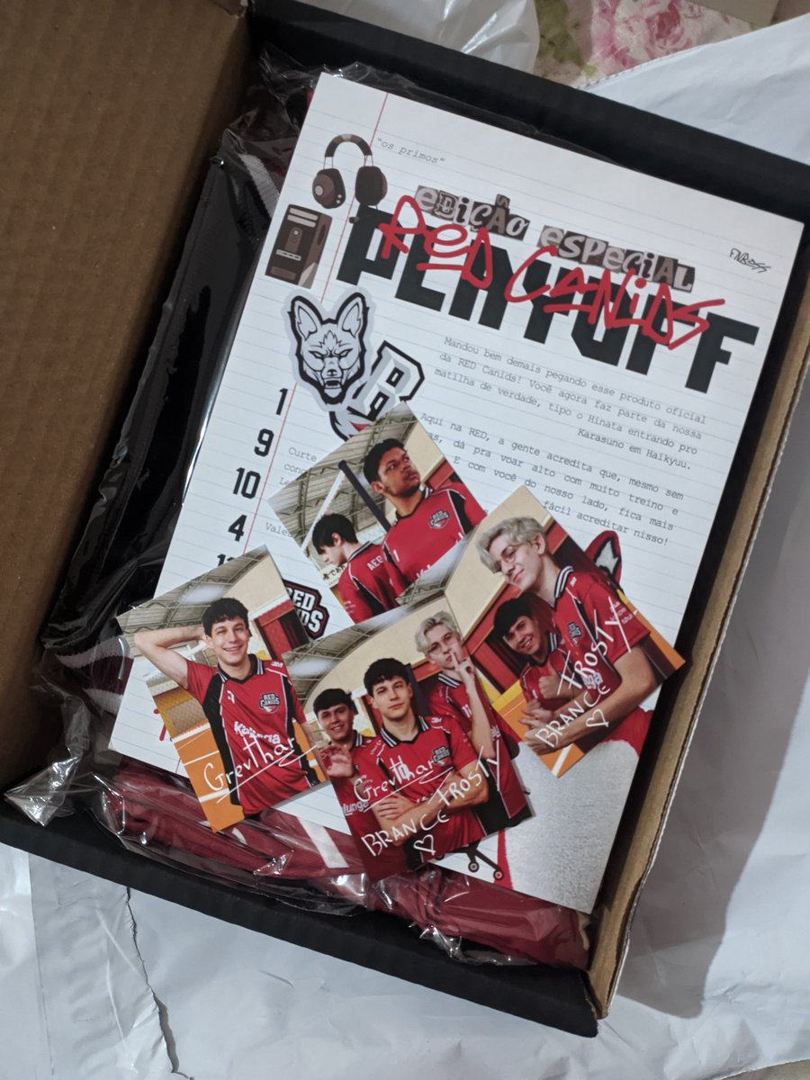 gente que coisa mais fofa eu tô muito apaixonada, red canids vcs acertaram demais caras