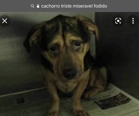 Tenho q tirar 1 dia só pra desacumular Anki
Tenho q tirar 1 dia só pra desacumular correção de prova
Tenho q tirar 1 dia só pra desacumular humanas 
Tenho q tirar 1 dia só pra desacumular revisão de física 
Tenho q tirar 1 dia só pra desacumular linguagens
