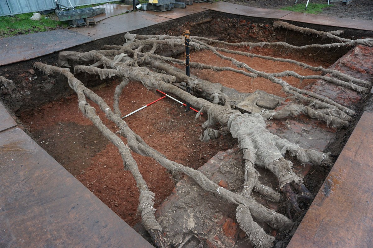 OA's new report for Forestry Commission explores the balance between afforestation and preserving our archaeological heritage. Let's protect our past while planning for a greener future. 🌍

🔗bit.ly/3Z1NchL

#Archaeology #Sustainability #Forestry #Heritage