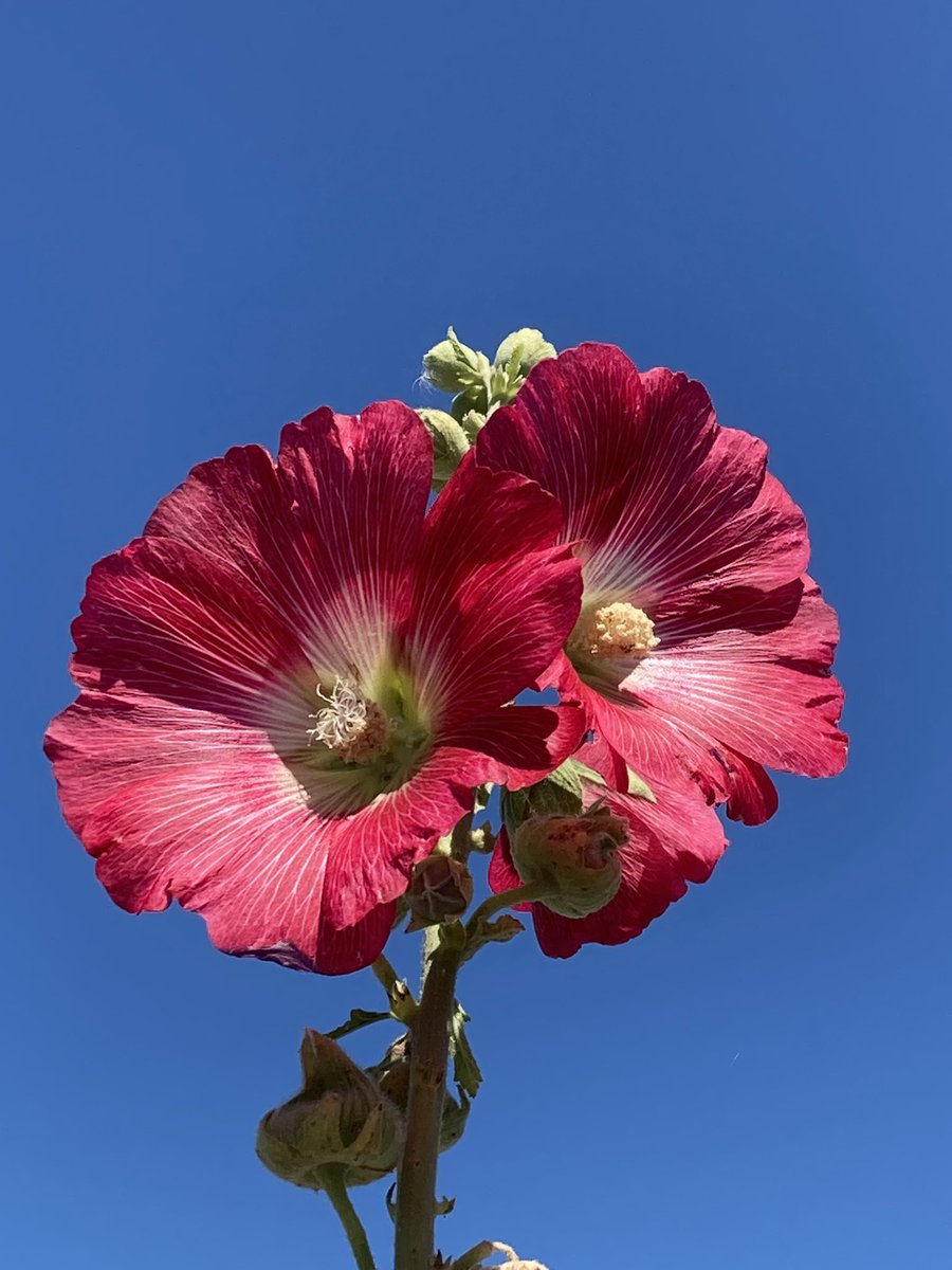 MimiMichelle9's tweet image. #Marc #Inconsolable 💔🙏💔🙏💔🙏💔🙏💔🙏💔🙏💔🙏💔🙏💔🙏💔🙏💔💔💔💔💔💔💔💔💔💔💔💔💔💔💔💔💔💔💔💔💔💔💔💔 💔💔💔💔💔