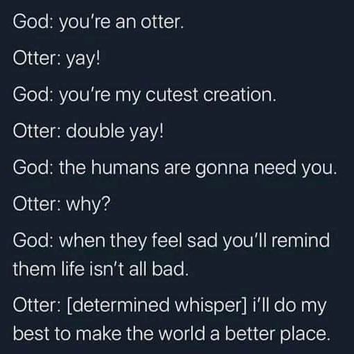 In Otter News.... (@in_otter_news2) on Twitter photo 