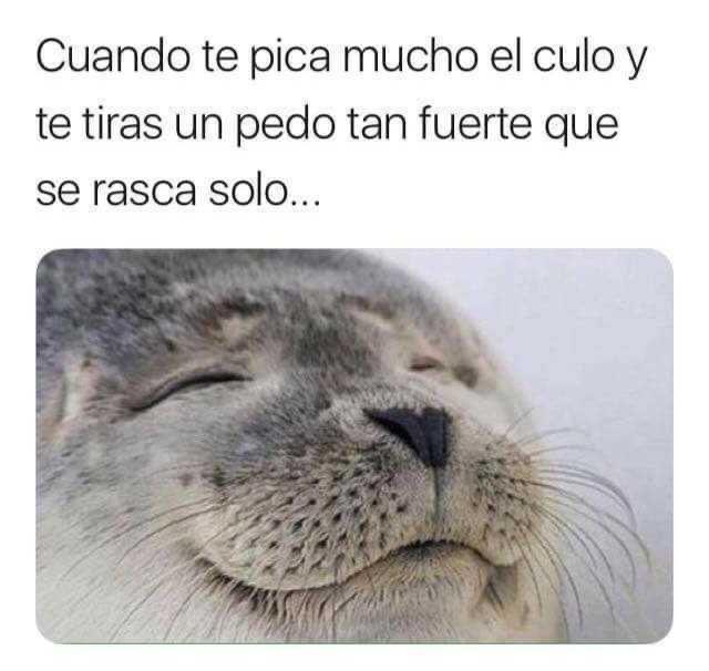 Maiilet (@maiilet18) on Twitter photo 