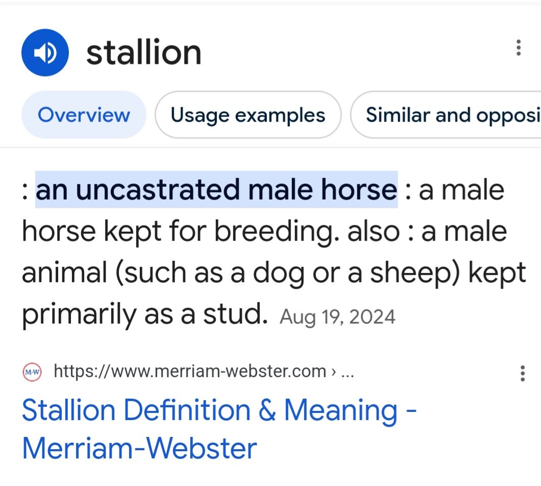 So  Megan Thee Stallion ...does she know it's an uncastrated male horse?? Dumb.