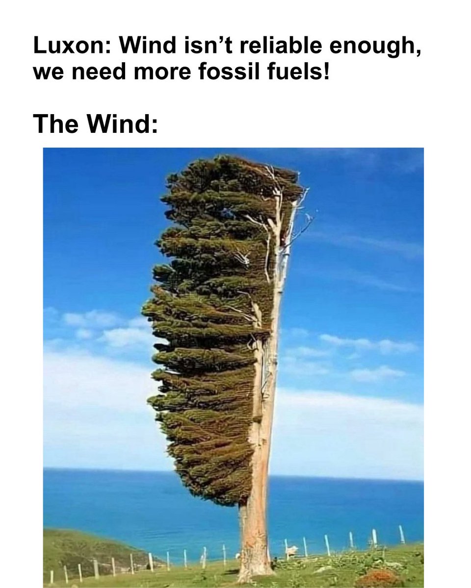 We don't need new fossil fuels. 

The Government's own report shows that there's no need for new fossil gas because we can harness clean renewable energy and put an end to fossil fuels!

Read more: greenpeace.nz/goodnews

#nzpol