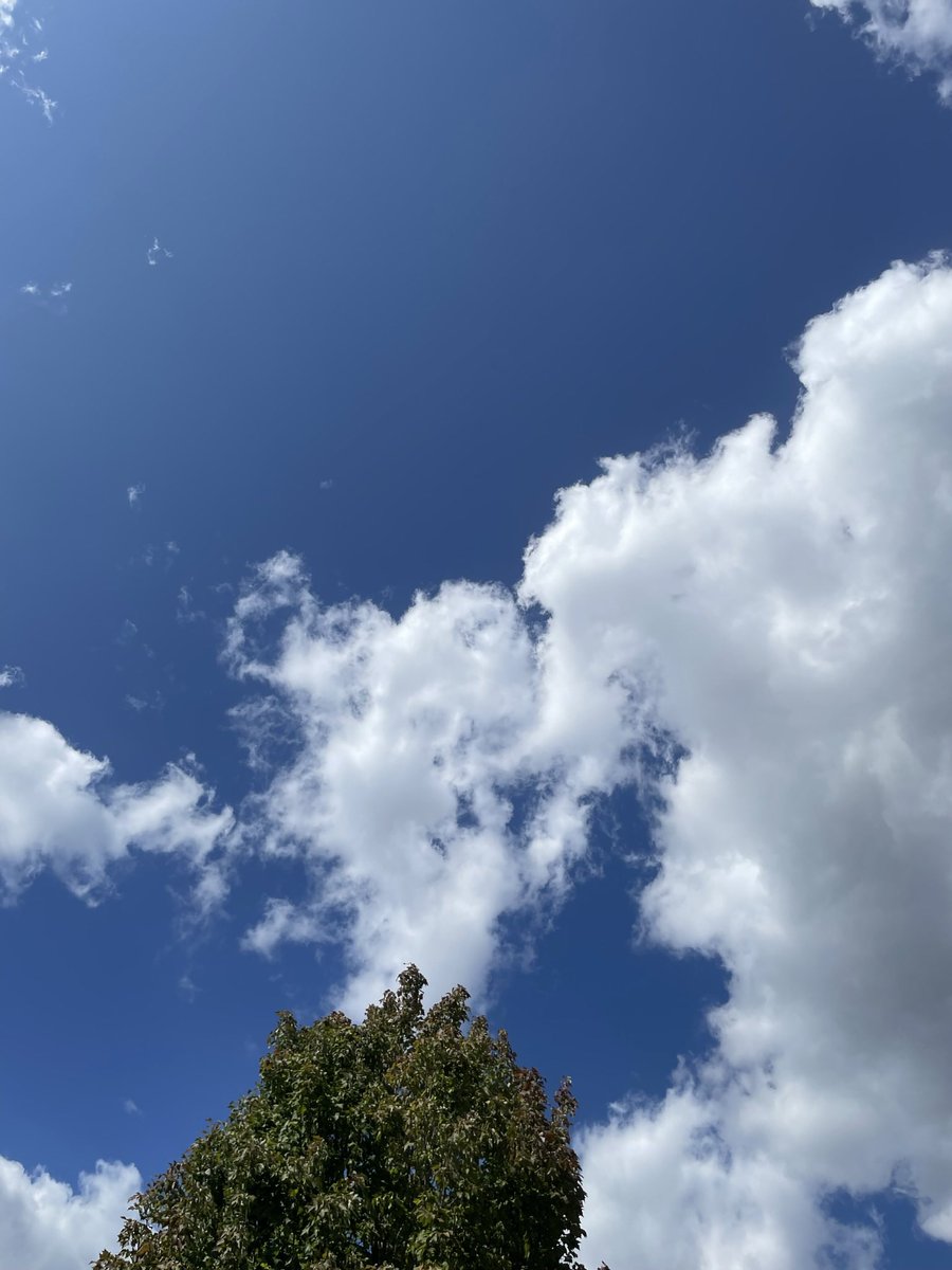 Jeff Patterson tweet media