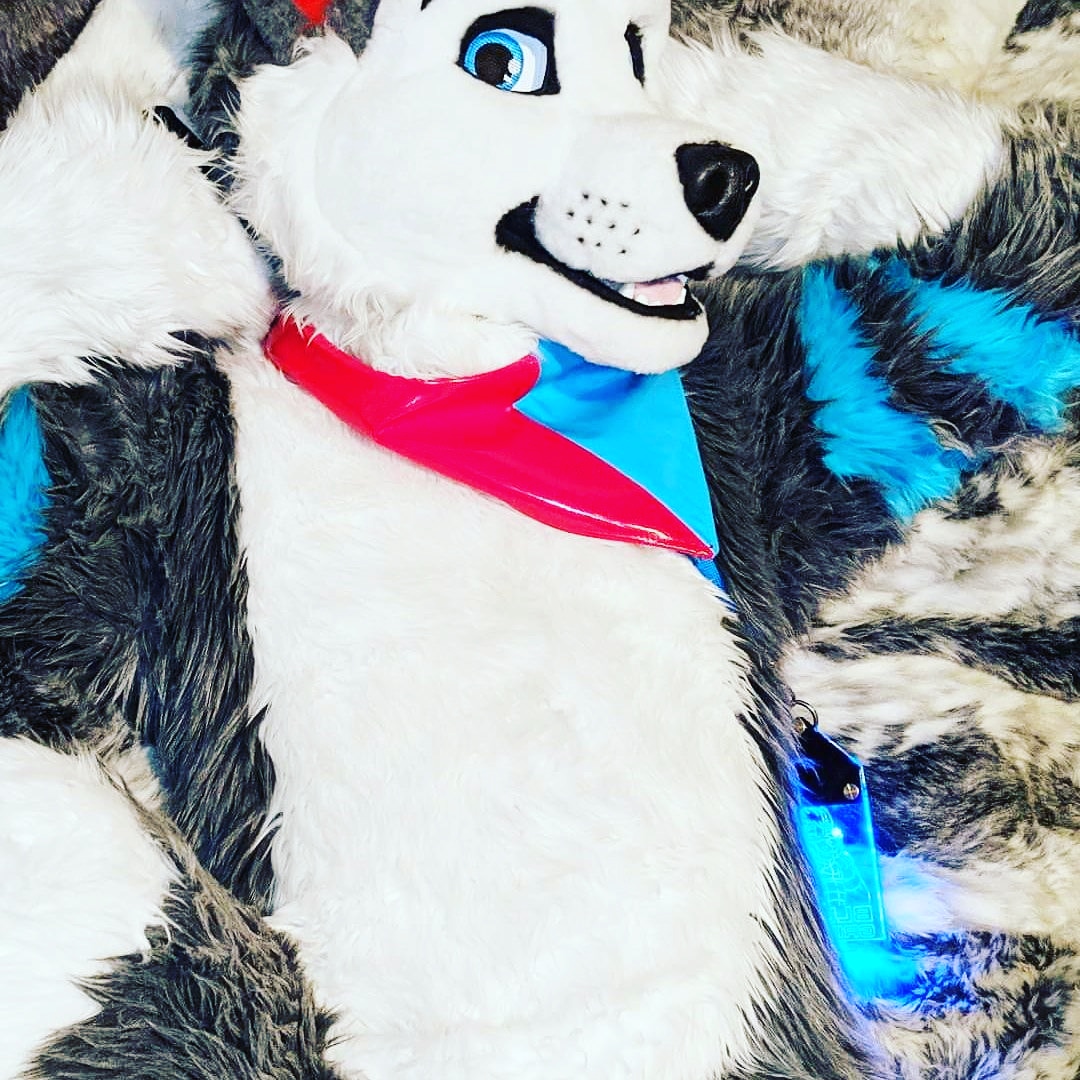 Wulfsy Wulf (v. cheeky!) + Bluey G (v. cute!) tweet media