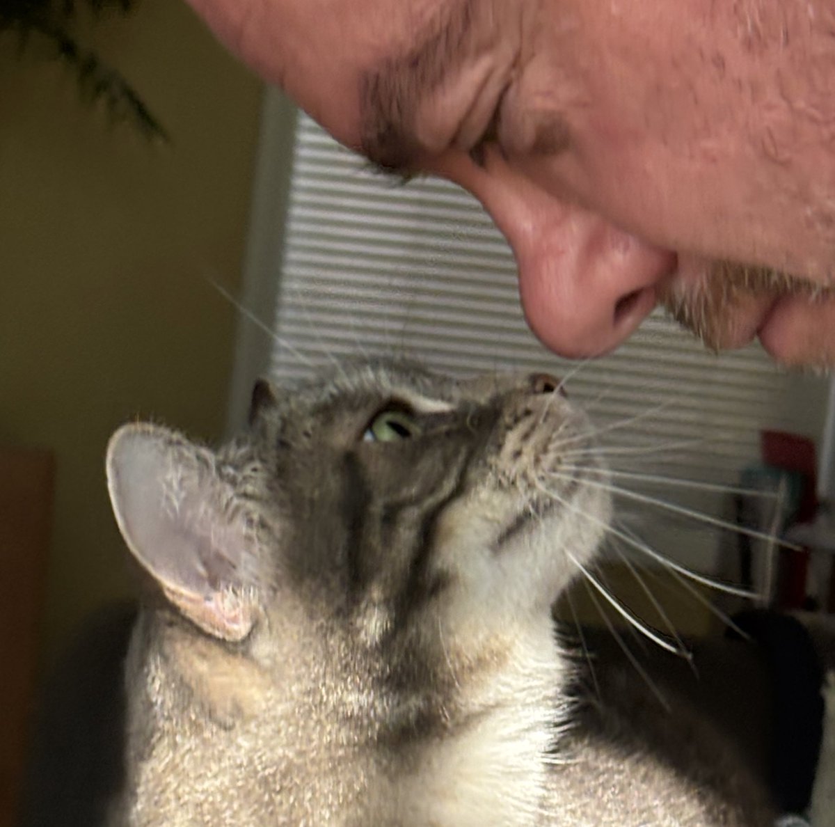 I love my Dad *boop!*😻💕