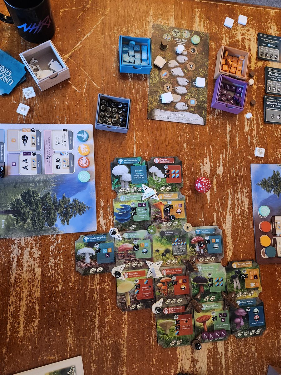EmmettMaps's tweet photo. Had a symbiotic evening with my fiancee playing #UnderGrove by @elizhargrave and @alderac 

My trees were not nearly as good at utilizing nutrients as hers, but I still had a blast! 🍄🌲

I'm excited for Mycelia to come out for more mushroom fun!
#BoardGames https://t.co/CCxRpdFaaQ