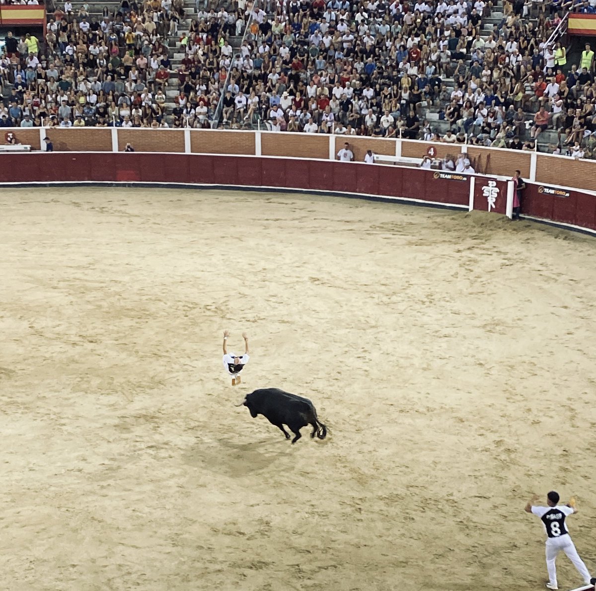 EncierroMedia_'s tweet photo. 🔝Ambientazo en la clasificación del concurso nacional de recortadores 2024. 
🔻El viernes a las 21:00 la final en la tercera. https://t.co/MfdcSBAUbD