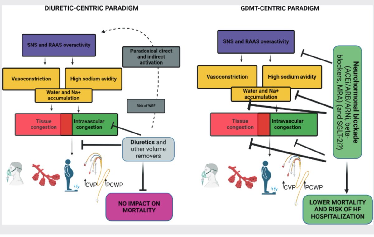 Decongestion in #AHF : Is it time to change #diuretic-centred paradigm?

This fantastic review discusses the latest in decongestive therapies for #HeartFailure 
<a href="/JanBiegus/">Jan Biegus</a> 
<a href="/MarcoMetra/">Marco Metra</a> <a href="/ESC_Journals/">European Society of Cardiology Journals</a> 

onlinelibrary.wiley.com/doi/full/10.10…
 
<a href="/HanCardiomd/">Henry Han</a> <a href="/AmrAbdin10/">Amr Abdin</a> <a href="/GiuseppeGalati_/">Giuseppe Galati</a>