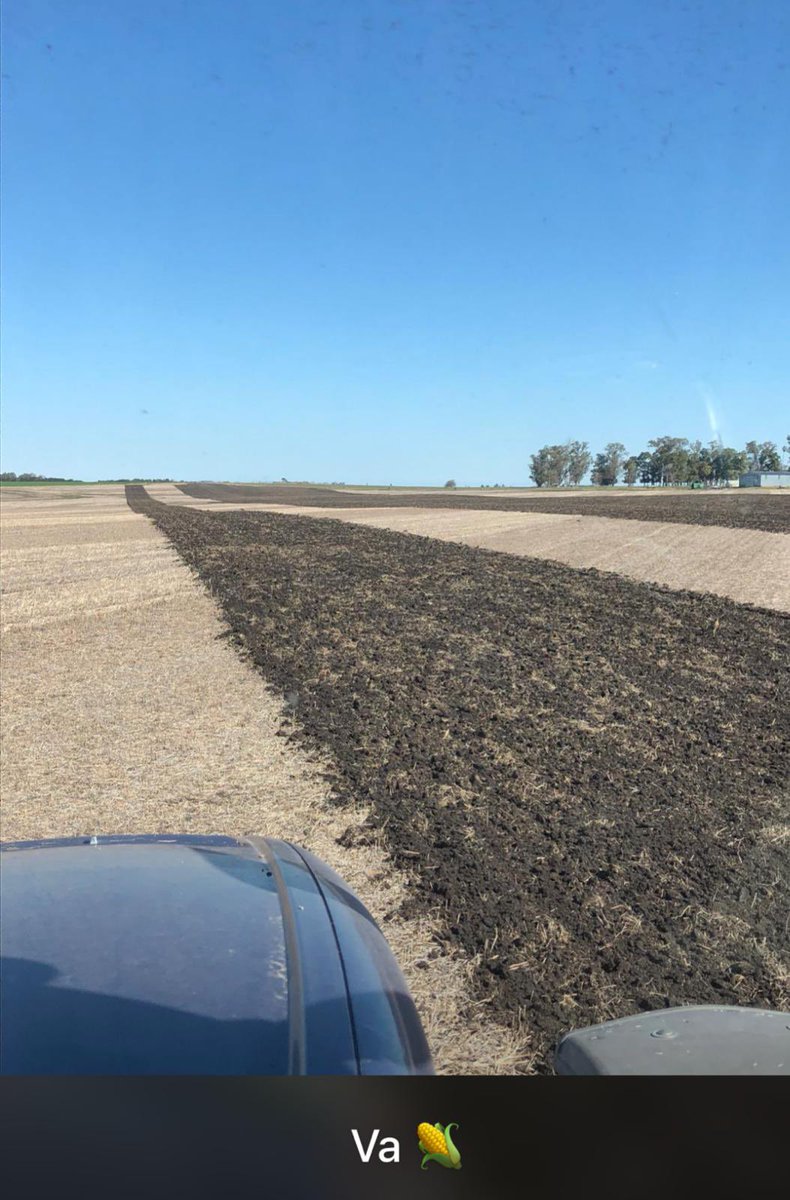 Resultados de estrategias recomendadas: Mayo aplicacion de glifosato+clethodim+flumioxazin dando residualidad y potenciando control del graminicida. Ninguna aplicacion mas. Hoy a sembrar maiz!! Gracias por compartir y por la confianza!!@luisinaDel <a href="/agroterrauy/">agroterrauy</a>.