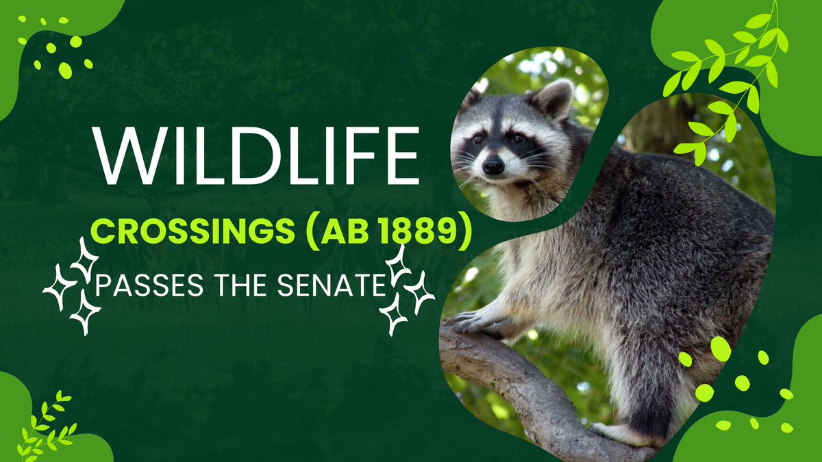 My bill, AB 1889, just passed the Senate! As cities grow, wildlife has no choice but to exist alongside us. We can do more to keep both humans &amp; animals safe: wildlife crossings, safer fencing, reduced lighting. AB 1889 requires these types of mitigation measures as cities grow.