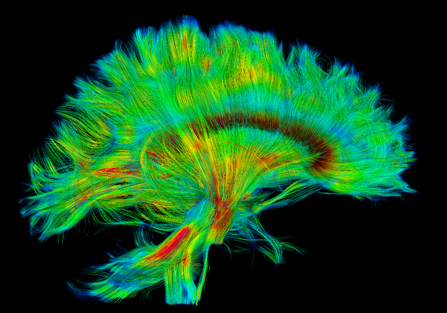 Pablo Reyes G. tweet media