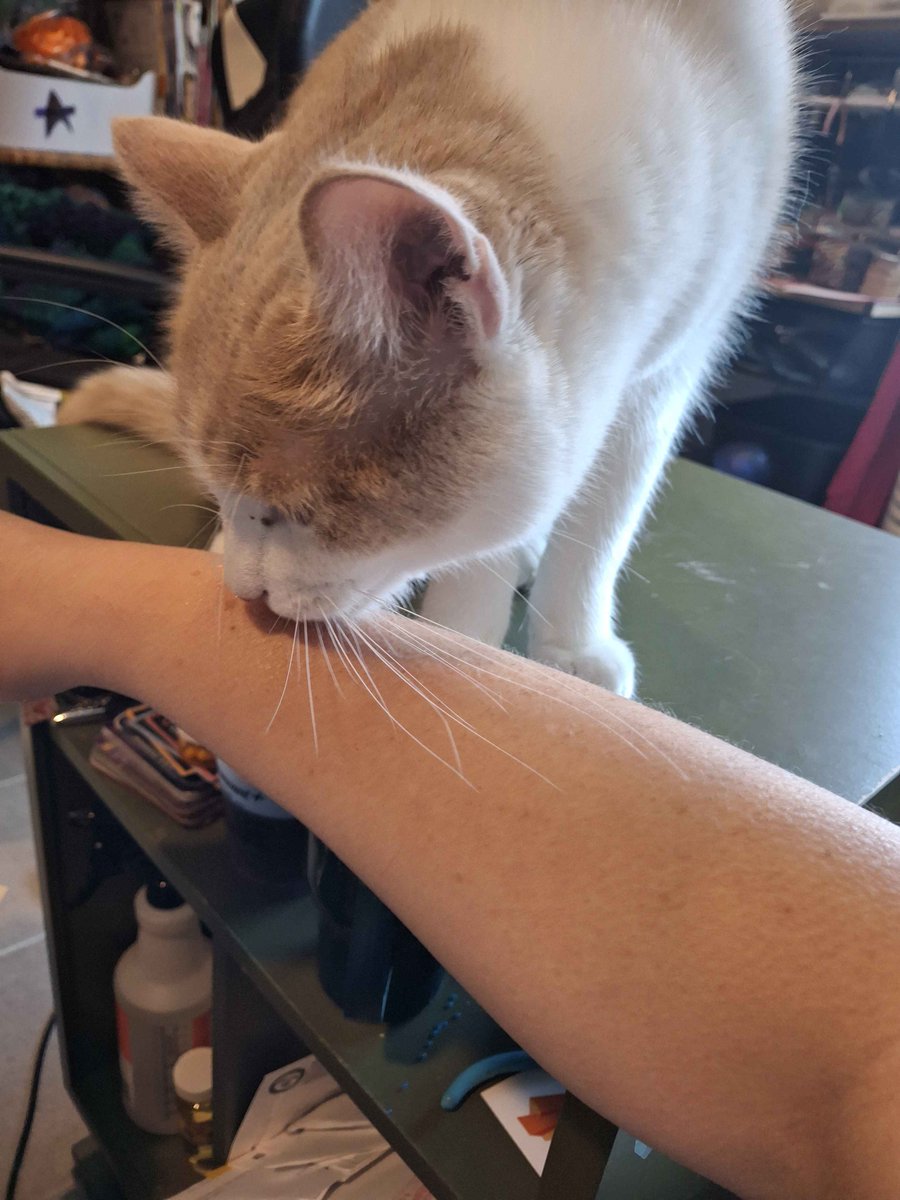 The little guy might be slowing me down with his exfoliation routine, but fall vibes are coming.