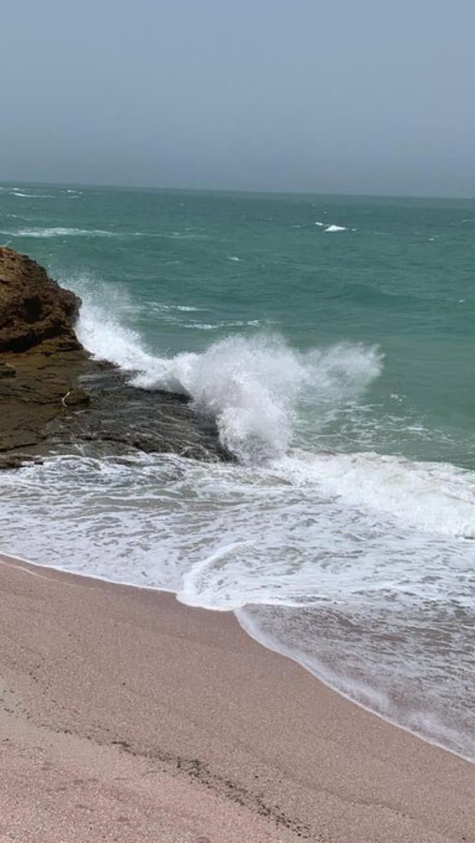 sale_alhrby2012's tweet image. وتظنين إنك عادية ! ولا تعلمين أن الطرقات التي تسلكينها تزهر من بعدك
#طرف_علم