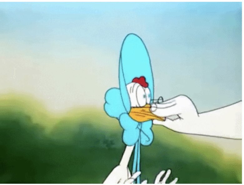 catoraño tweet media