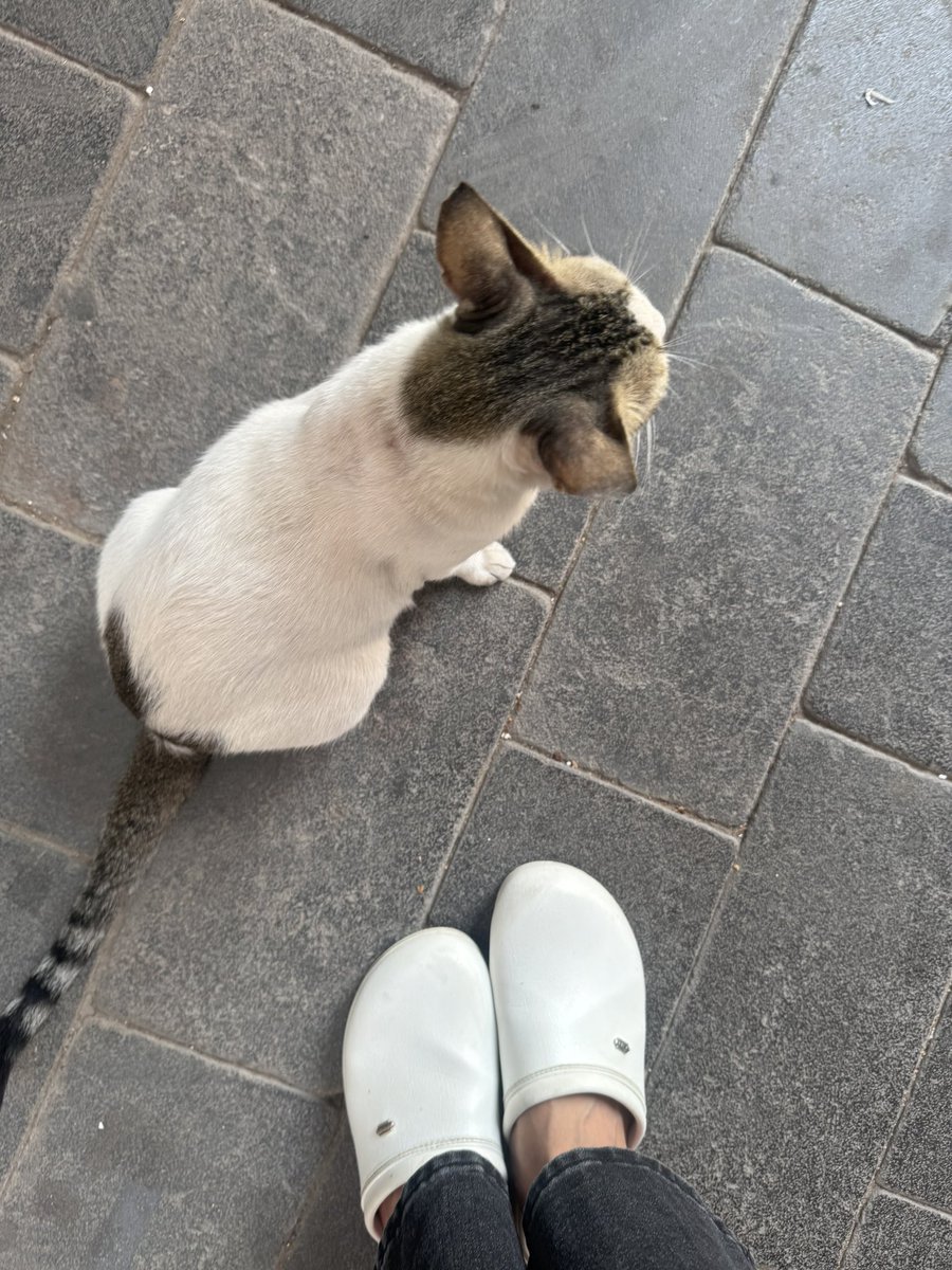 88Welcome's tweet image. #ladyboy_dubai #ladyboydubai