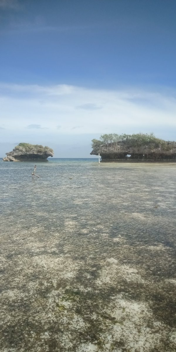 Tapong23's tweet photo. https://t.co/8CYYidSgQO