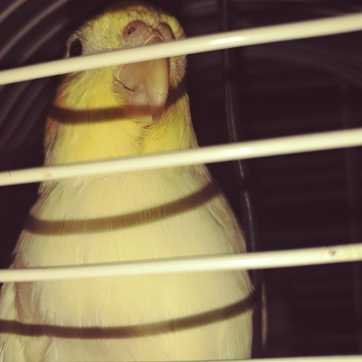 FallaOtraVez (@eaas34) on Twitter photo 