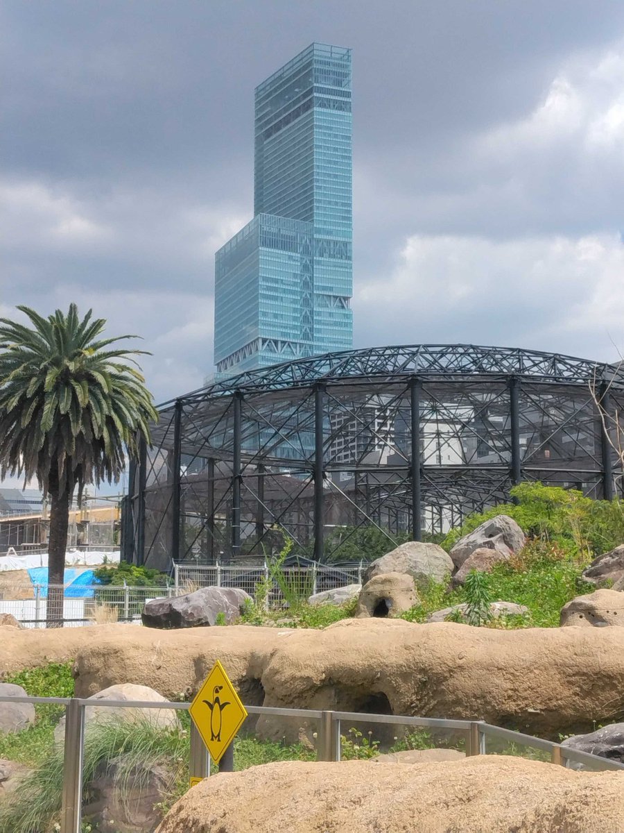 金江大輔 tweet media