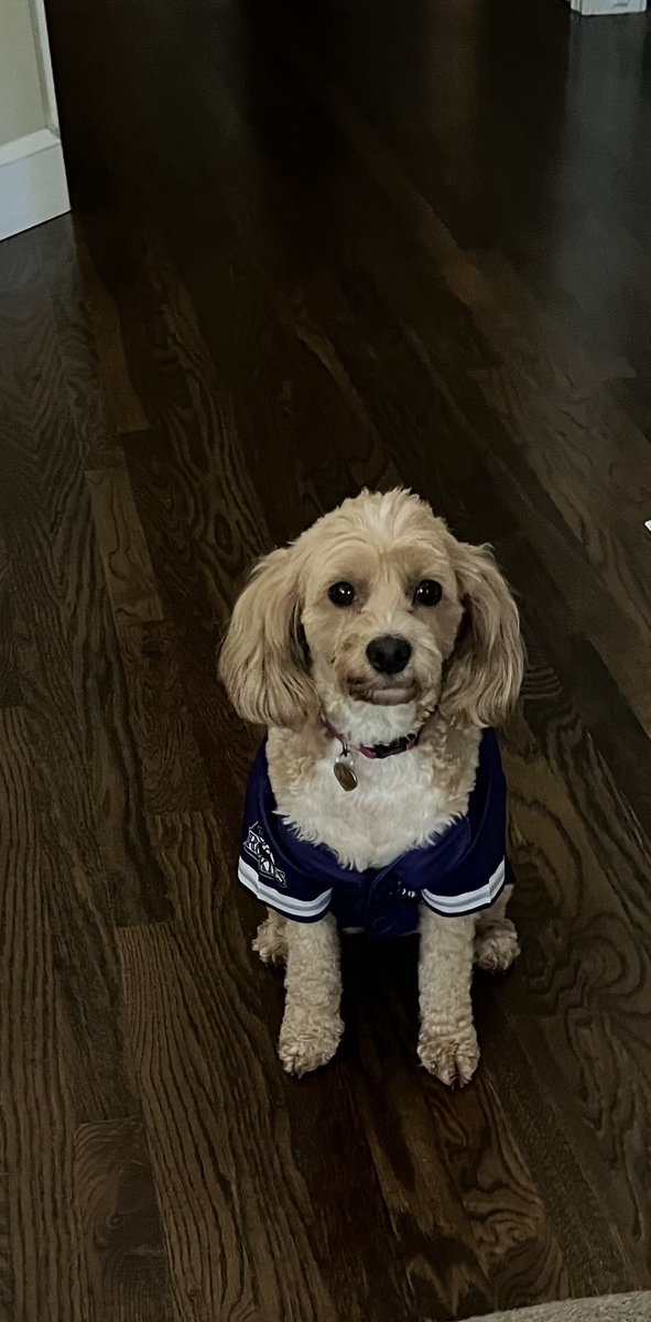 Jack Corrigan tweet media