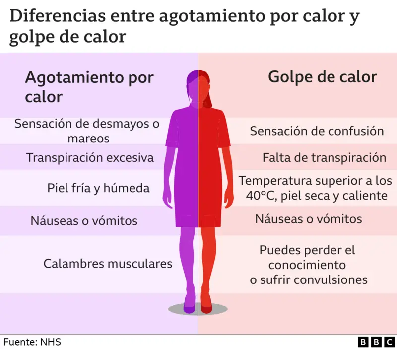 ElDia_do's tweet photo. #Salud l Cómo impacta el calor extremo a nuestro cuerpo y cómo puedes protegerte https://t.co/dGvZFMed7R

#Calor #Protegerte #Cardio https://t.co/YNd5QdI0y2