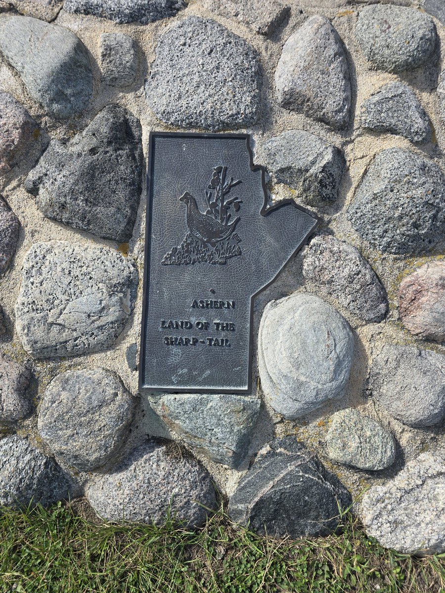 BatchStfc's tweet image. Battle of #manitoba Interlakes (a very small bit of it)... It's The #Lundar Goose v The #ashern Sharp-Tail (grouse).

Sorry ashern, the goose gets my vote.