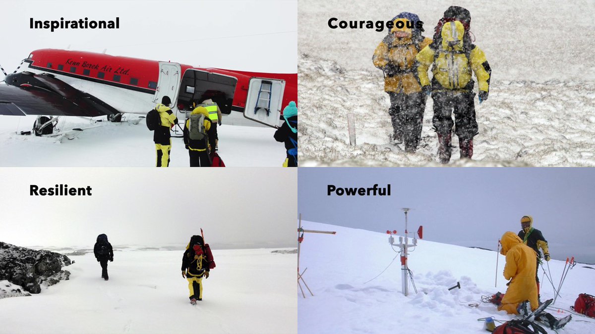 Miranda Nieboer tweet media