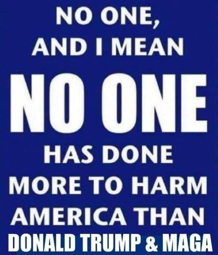 #ProudBlue
In all my years, and there are a lot of those (I’m a Boomer), I’ve never seen anyone or anything damage our country like Trump and his followers have. Who agrees? (And if you don’t agree, I’d love for you to share why not.)