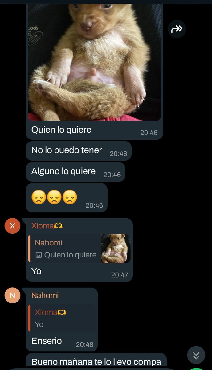 lo más tranqui que se habla en el grupo de mi curso jajaja